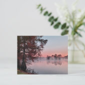 Bayou sunrise postkarte (Stehend Vorderseite)