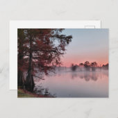 Bayou sunrise postkarte (Vorne/Hinten)