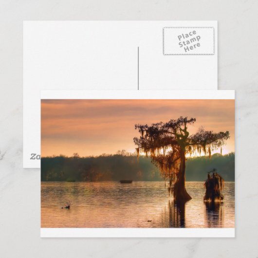 Bayou Sunset 5769 Postkarte (Vorne/Hinten)