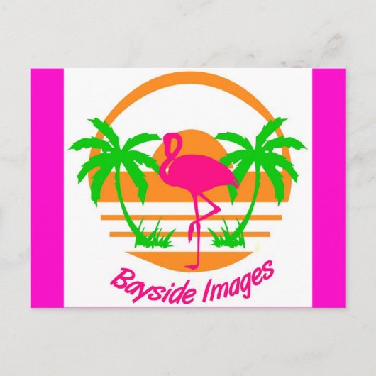 BAYSIDE IMAGES PINK FLAMINGO POST CARD POSTKARTE (Vorderseite)