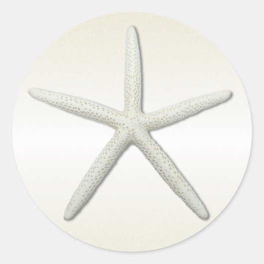 Bayside Single Starfish Champagne Runder Aufkleber (Vorderseite)