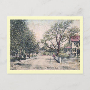 Bayview Ave., Northport, Long Island Vintage Postkarte