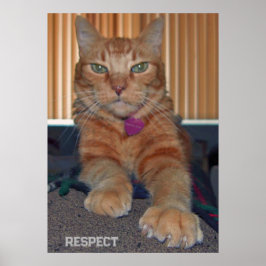 Baz Cat Poster respektieren