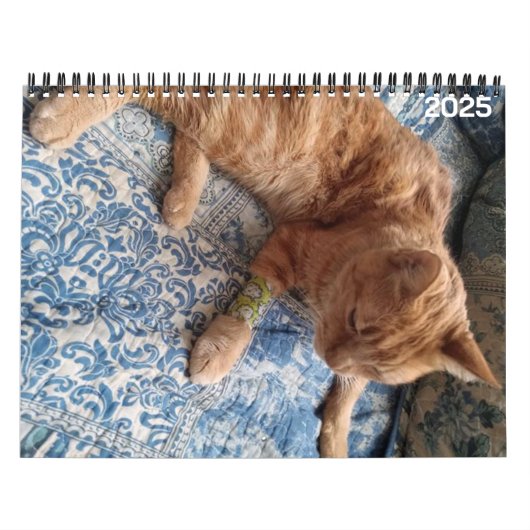 Bazz 12 Monate 2025 Personalisierter Kalender (Titelbild)