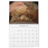 Bazz 12 Monate 2025 Personalisierter Kalender (Feb 2027)
