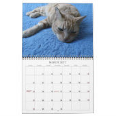 Bazz 12 Monate 2025 Personalisierter Kalender (Mär 2027)