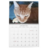 Bazz 12 Monate 2025 Personalisierter Kalender (Jan 2027)