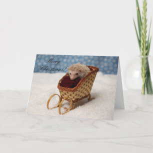 BB238777, MerryChristmas! Feiertagskarte