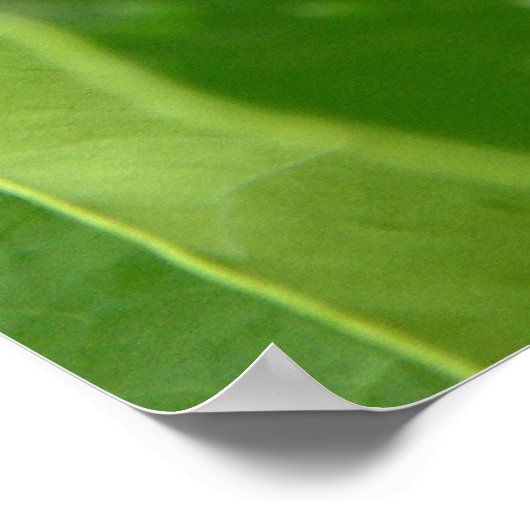 bb fli 2 poster (Ecke)