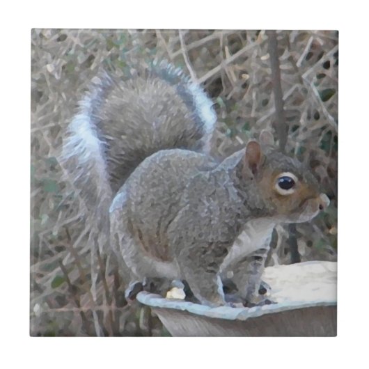BB lustige Eichhörnchen-Fotografie-Fliese Fliese (Vorderseite)