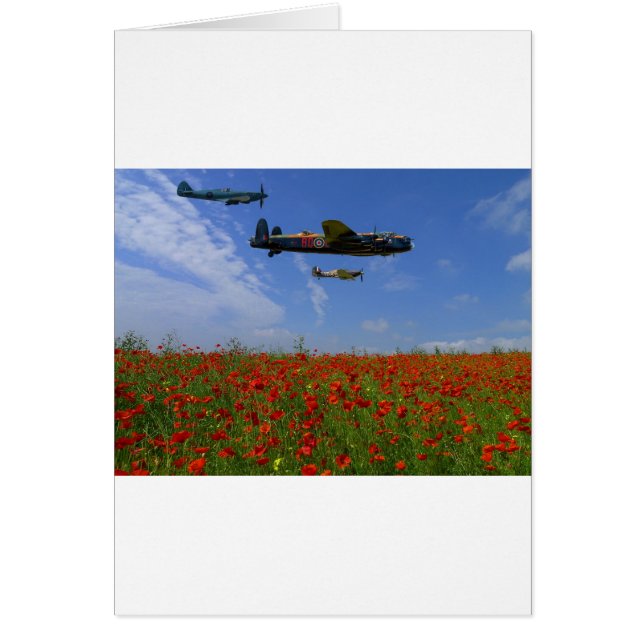 BBMF und Mohnblumen (Vorne)