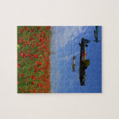 BBMF und Mohnblumen Puzzle (Horizontal)