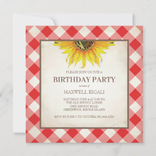 BBQ Birthday Red Gingham Print Einladung