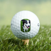 bc ai 2 golfball (Insitu T-Shirt)