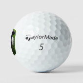 bc ai 6 golfball (Logo)