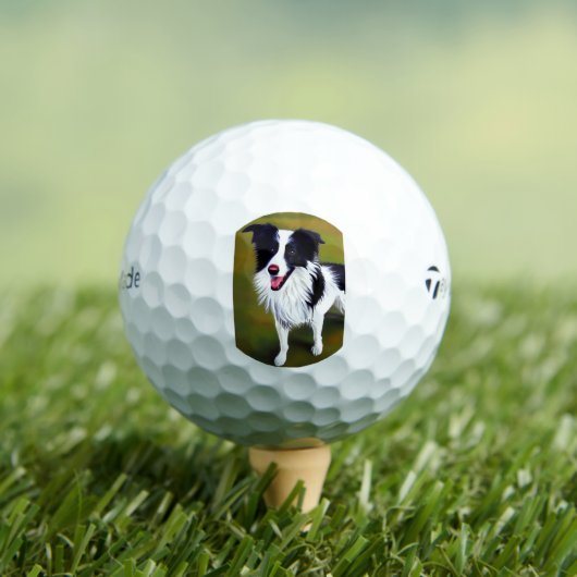 bc ai 7 golfball (Insitu T-Shirt)