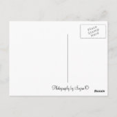 BC Canada Postcard Postkarte (Rückseite)