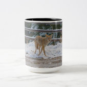 BC Coyote Wildlife Nature Coffee Tasse (Mittel)
