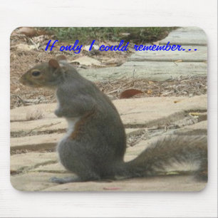 BC-Eichhörnchen Mousepad