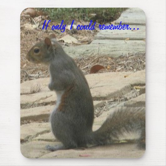 BC-Eichhörnchen Mousepad (Vorne)