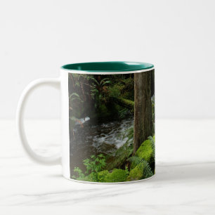 BC Forest Creek Ferns Wilderness Nature Trinkbehäl Zweifarbige Tasse