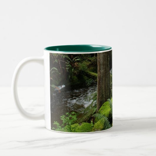 BC Forest Creek Ferns Wilderness Nature Trinkbehäl Zweifarbige Tasse (Links)