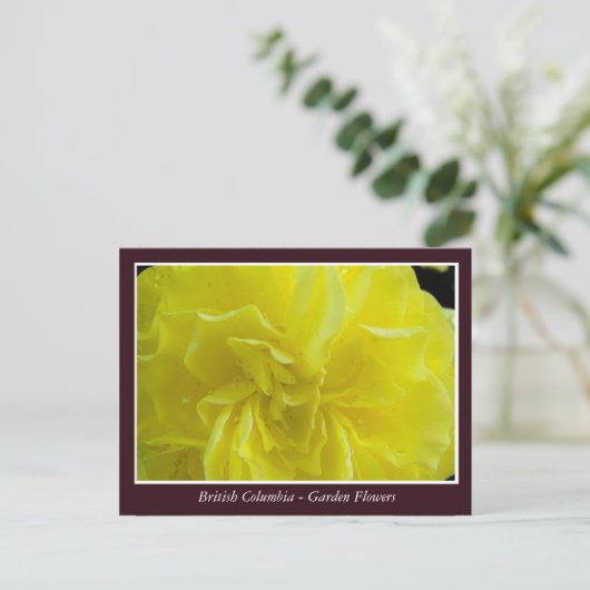 BC Gartenbau-Blume Postkarte (Stehend Vorderseite)