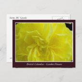 BC Gartenbau-Blume Postkarte (Vorne/Hinten)