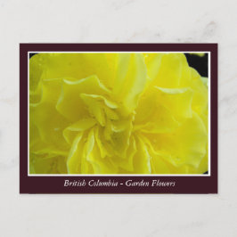 BC Gartenbau-Blume Postkarte