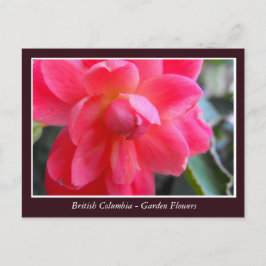 BC Gartenbau-Blume Postkarte