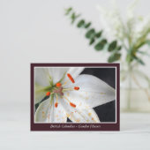 BC Gartenbau-Blume Postkarte (Stehend Vorderseite)