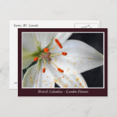 BC Gartenbau-Blume Postkarte (Vorne/Hinten)