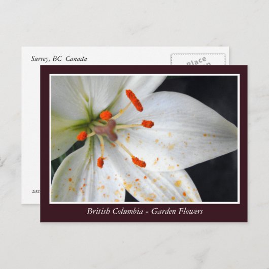 BC Gartenbau-Blume Postkarte (Vorne/Hinten)