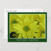 BC Gartenbau-Blume Postkarte (Vorne/Hinten)