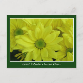 BC Gartenbau-Blume Postkarte