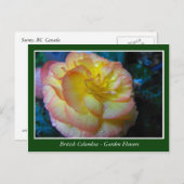 BC Gartenbau-Blume Postkarte (Vorne/Hinten)