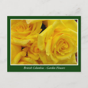 BC Gartenbau-Blume Postkarte