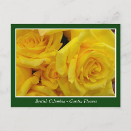 BC Gartenbau-Blume Postkarte