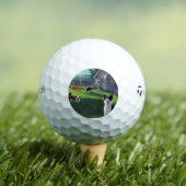 bc halloween cartoon golfball (Insitu T-Shirt)