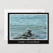 BC, Kanada, Crescent Beach Postkarte (Vorne/Hinten)