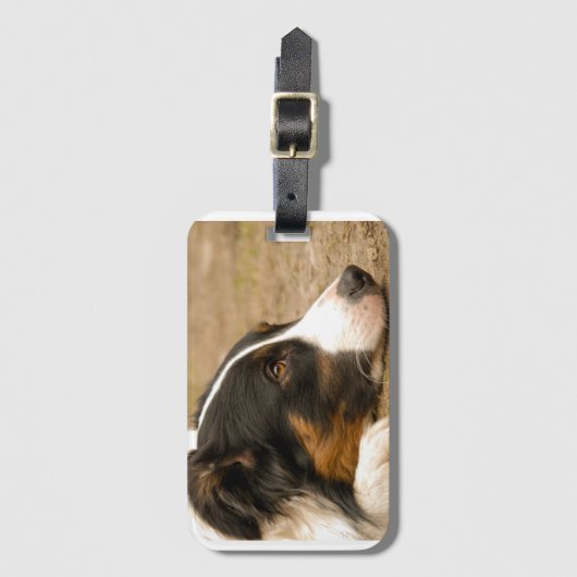 Bc Legeebene Gepäckanhänger (Vorderseite Vertikal)