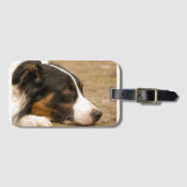 Bc Legeebene Gepäckanhänger (Vorderseite (Horizontal))