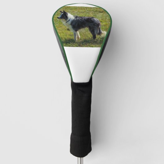 bc p 2 golf headcover (Vorderseite)