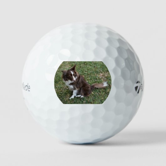 bc p 5 golfball (Vorderseite)