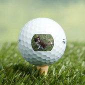 bc p 5 golfball (Insitu T-Shirt)