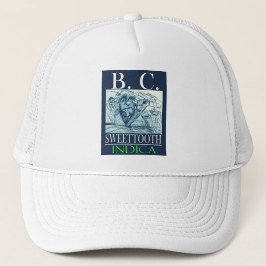 BC SWEETTOOTH INDICA TRUCKERKAPPE (Vorderseite)