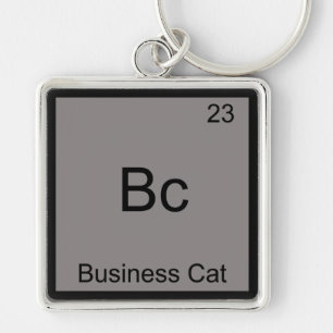 Bc - Symbol für das Geschäftsfeld Funny Chemistry  Schlüsselanhänger