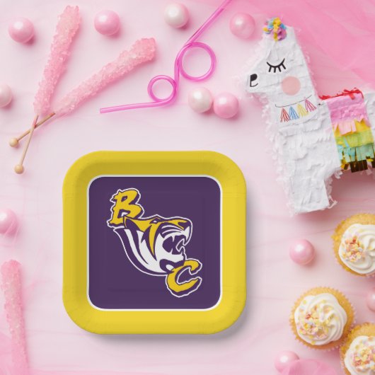 BC Tiger Pappteller (Party)