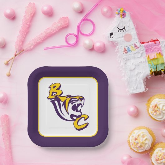 BC Tiger Pappteller (Party)
