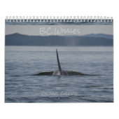 BC Wale Kalender (Titelbild)